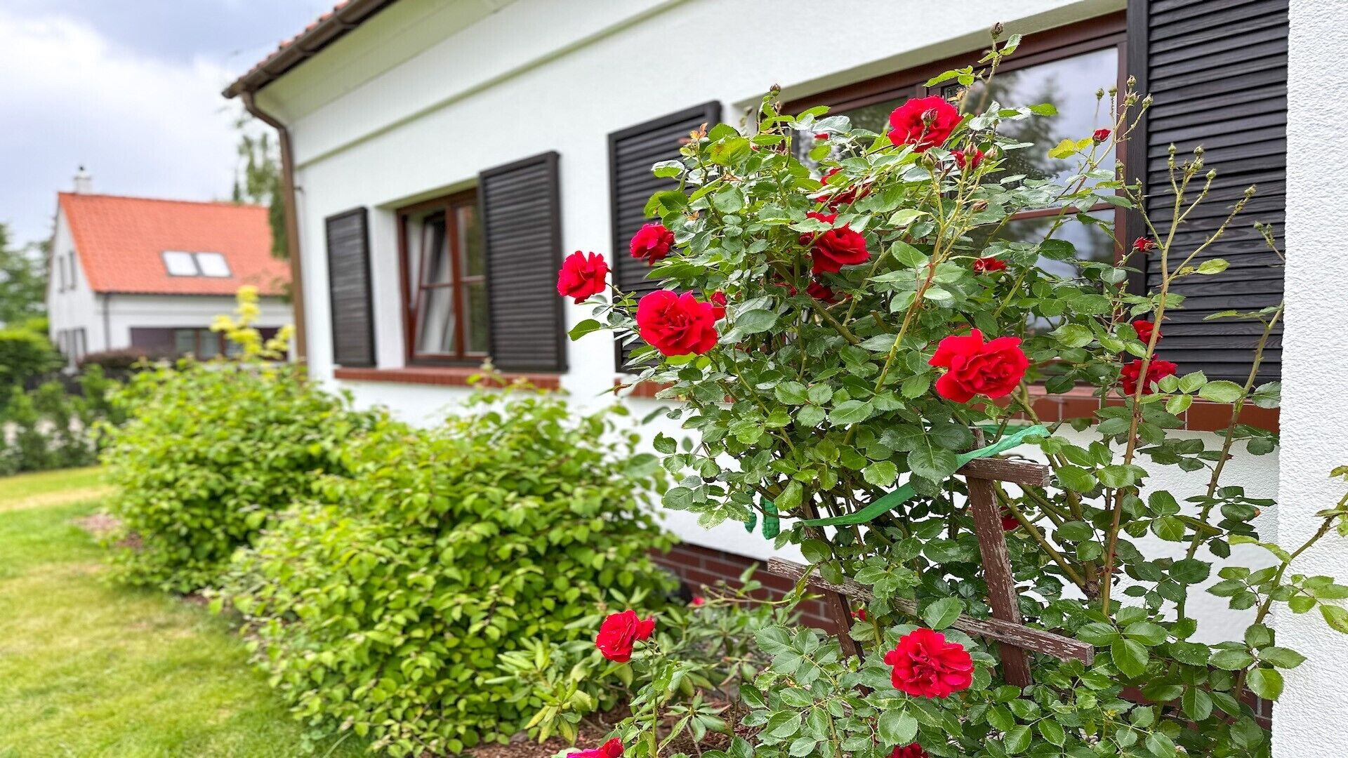 Nhà (Zamkowa 5) | Hiên