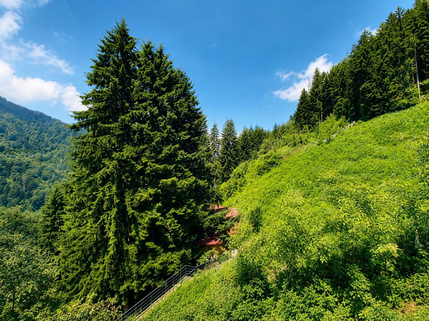 A mountainous landscape with dense green forests and a clear blue sky.