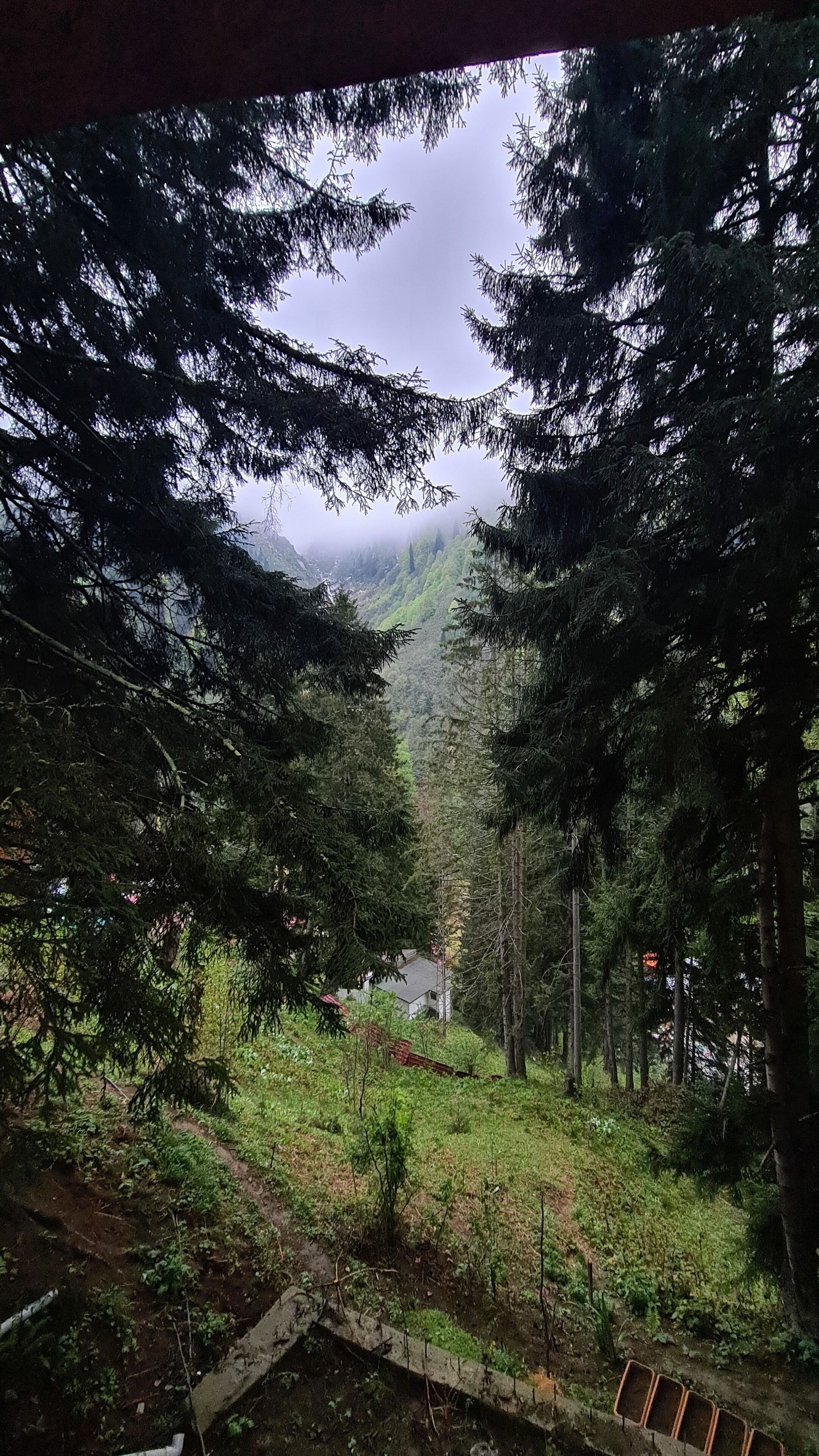 traditional chalet, 1 bedroom, fireplace, valley view | garden view