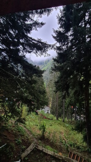 Chalet Tradizionale, 1 camera da letto, caminetto, vista valle | Vista giardino