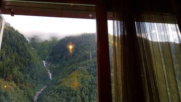 Vista desde la habitación