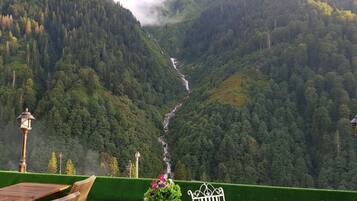 Traditional Chalet | Mountain view