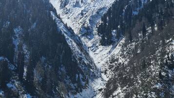 Breakfast, lunch, dinner served; garden views