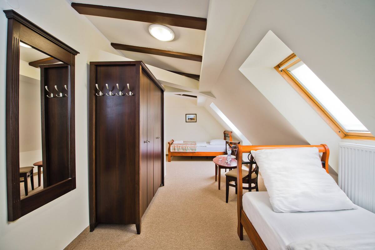 A bedroom with a bed, a desk, a chair, a wardrobe, and a skylight.