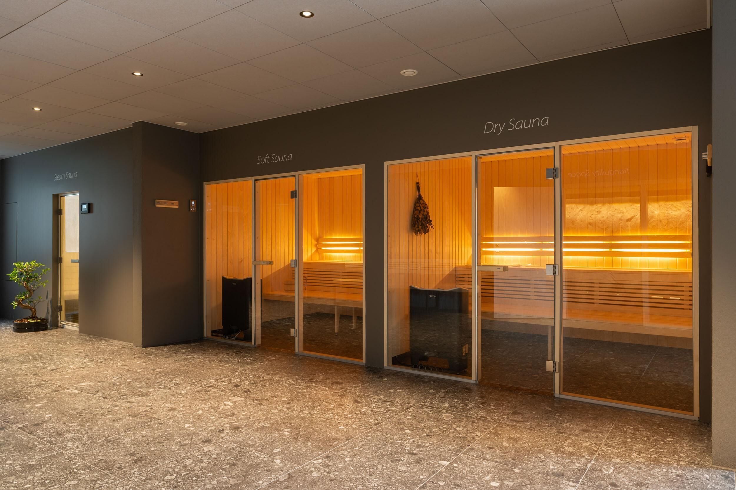 A dry sauna area with glass doors, a wooden bench inside, and a small potted plant outside.