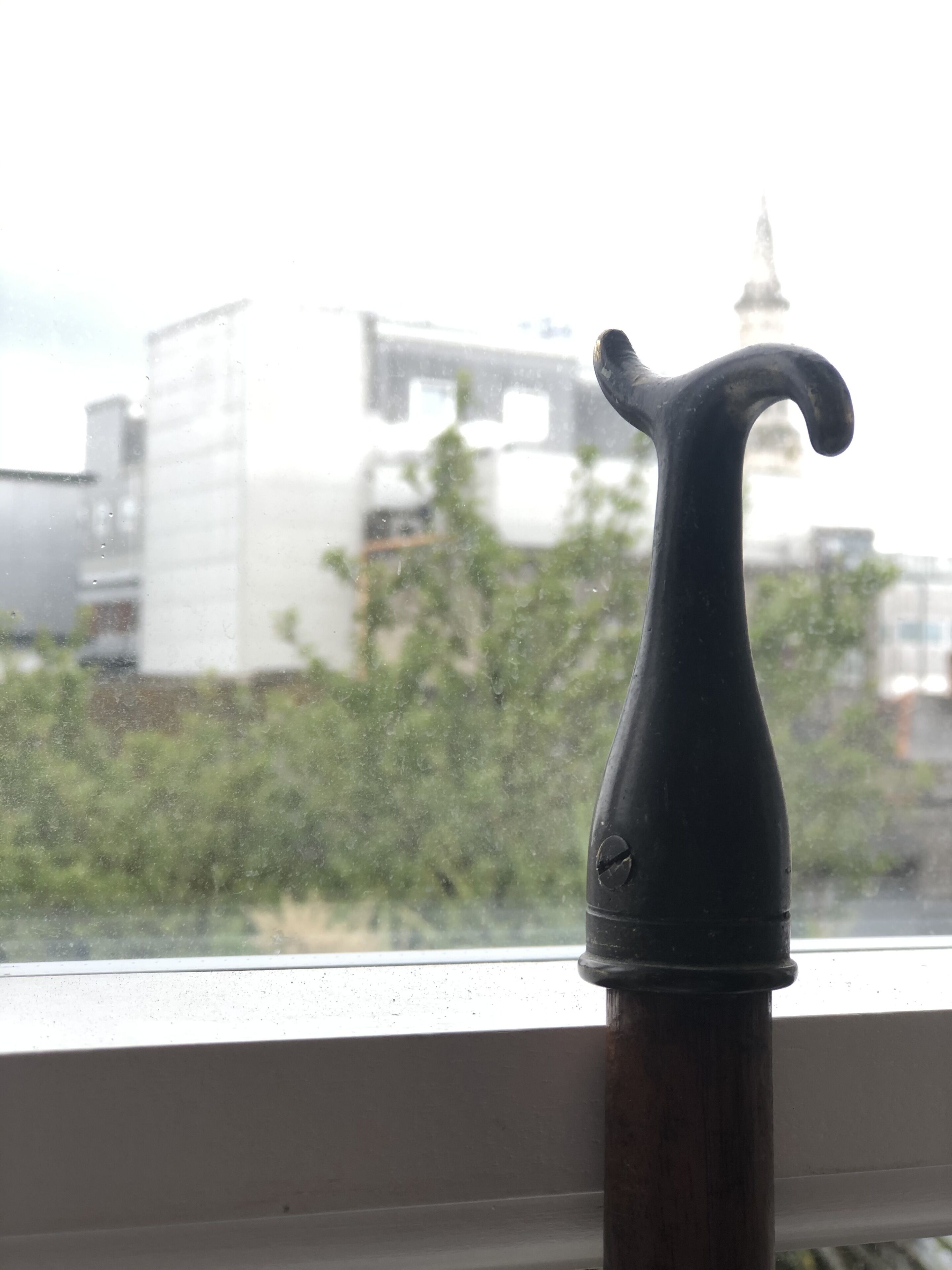 Camera familiare (Comfort) | Vista dalla camera