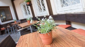 A wooden table with a potted plant in the center, surrounded by outdoor seating with orange cushions. - Hotel Dachstein (Filzmoos)