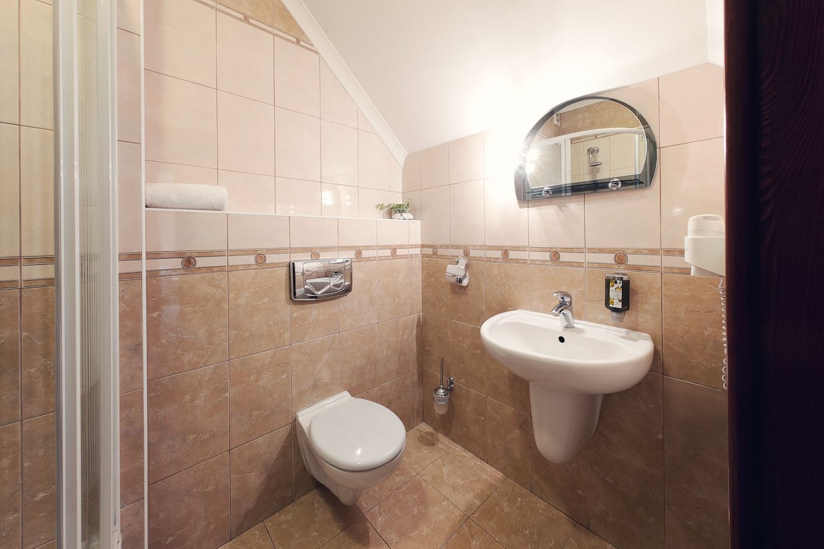 shower, free toiletries, hair dryer, towels