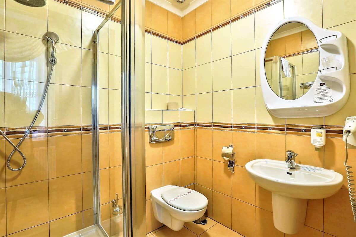 shower, free toiletries, hair dryer, towels