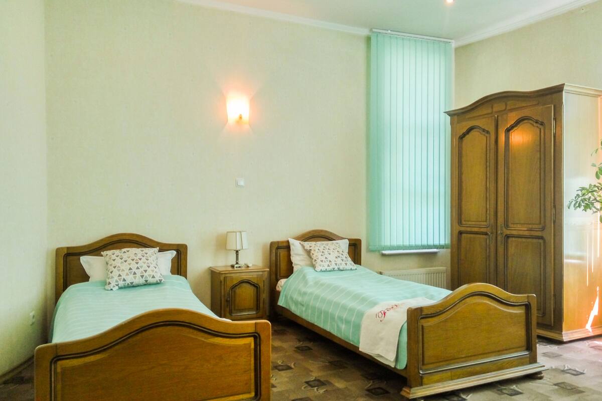 Twin Room, 2 Single Beds | Desk, iron/ironing board, free WiFi