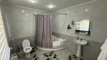 Standard Double Room | Bathroom | Free toiletries, hair dryer, slippers, towels