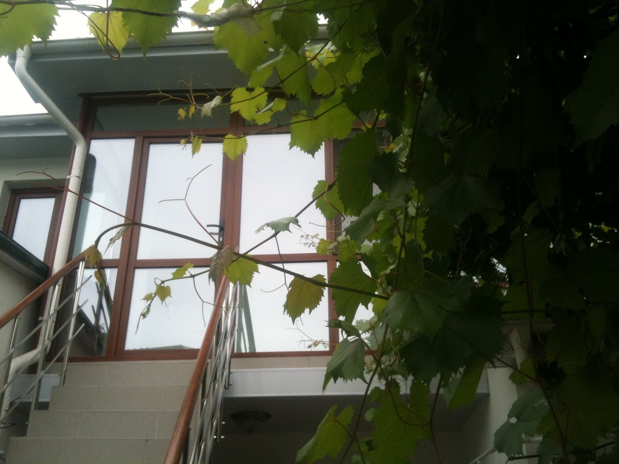 Una escalera que lleva a un ventanal del segundo piso con vista a un edificio.