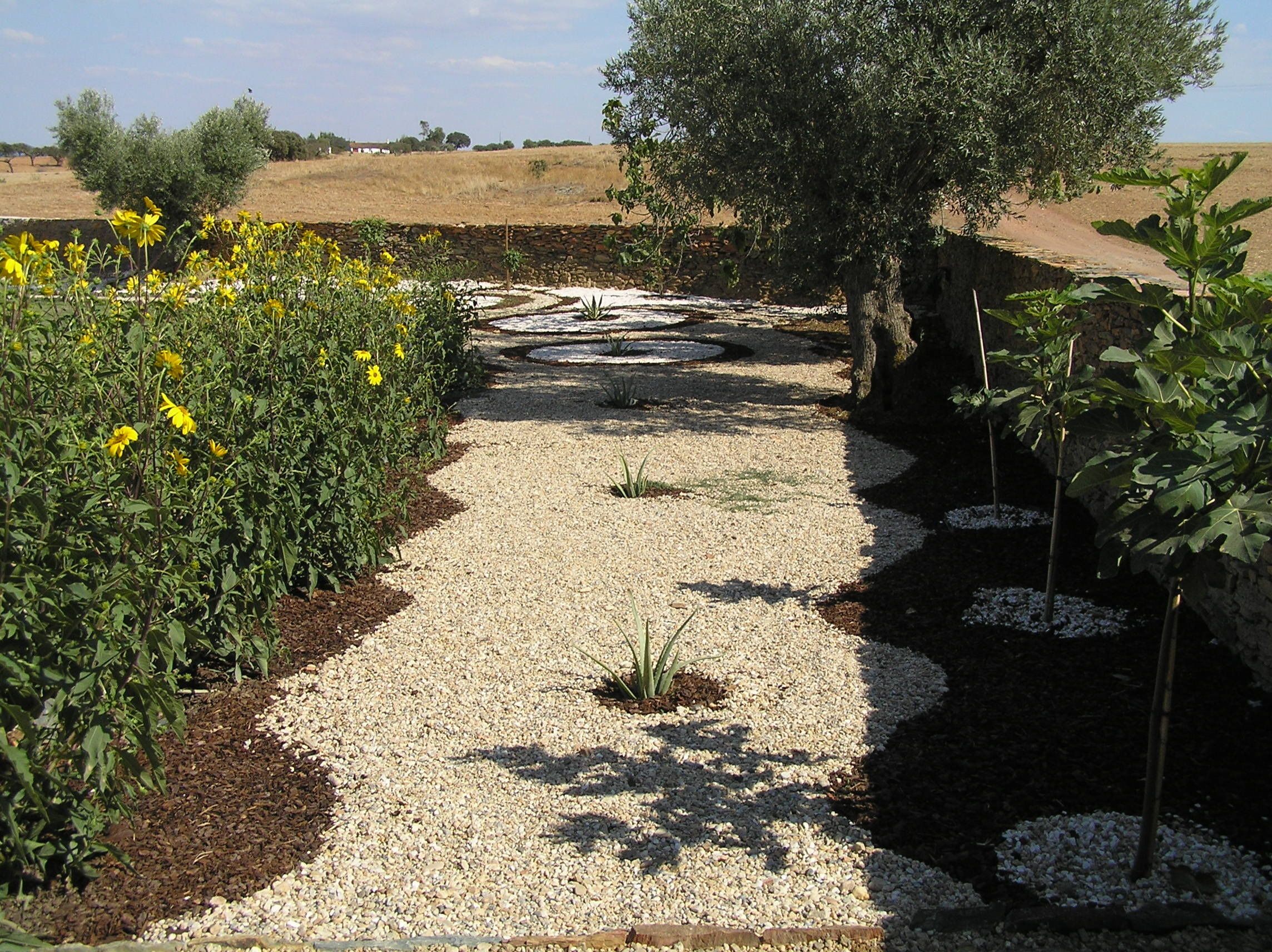 Un chemin de jardin, recouvert de gravier et bordé de plantes, qui mène à un mur de pierre et à un arbre.
