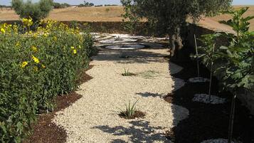 Un chemin de jardin, recouvert de gravier et bordé de plantes, qui mène à un mur de pierre et à un arbre.