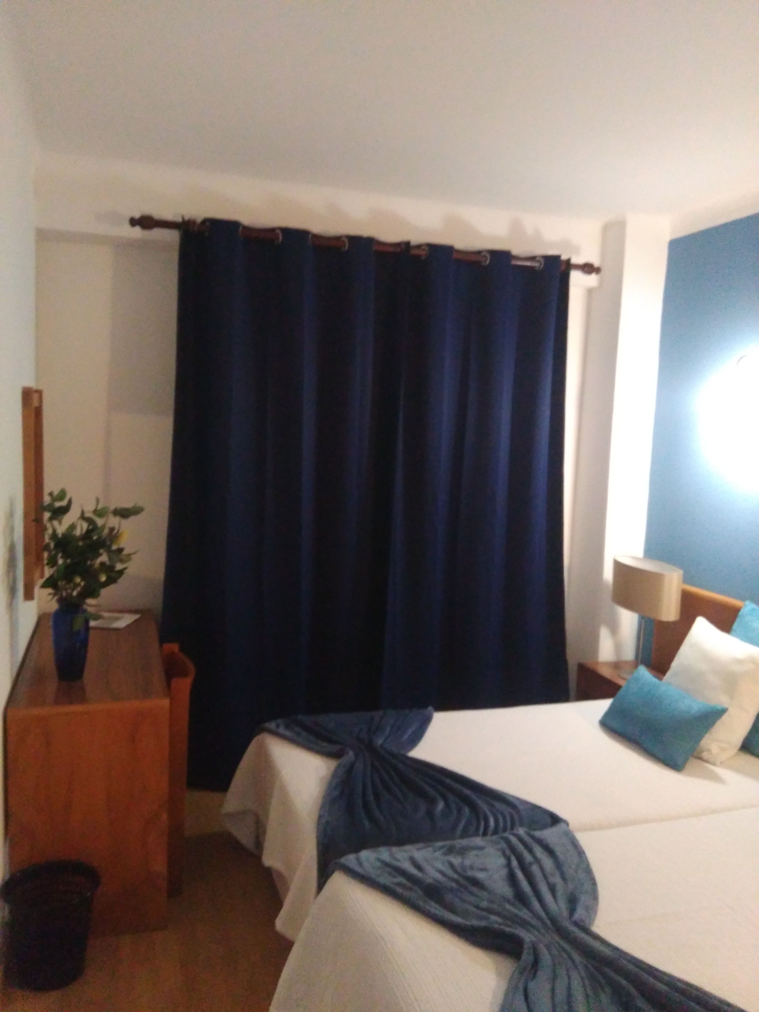 A hotel room with a bed, a bedside table with a lamp, a small plant, and a curtain.