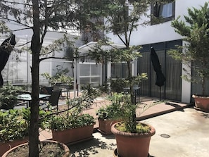 An outdoor patio area with potted plants, a glass-enclosed structure, and a seating area with tables and chairs. - Matriz (Ponta Delgada)