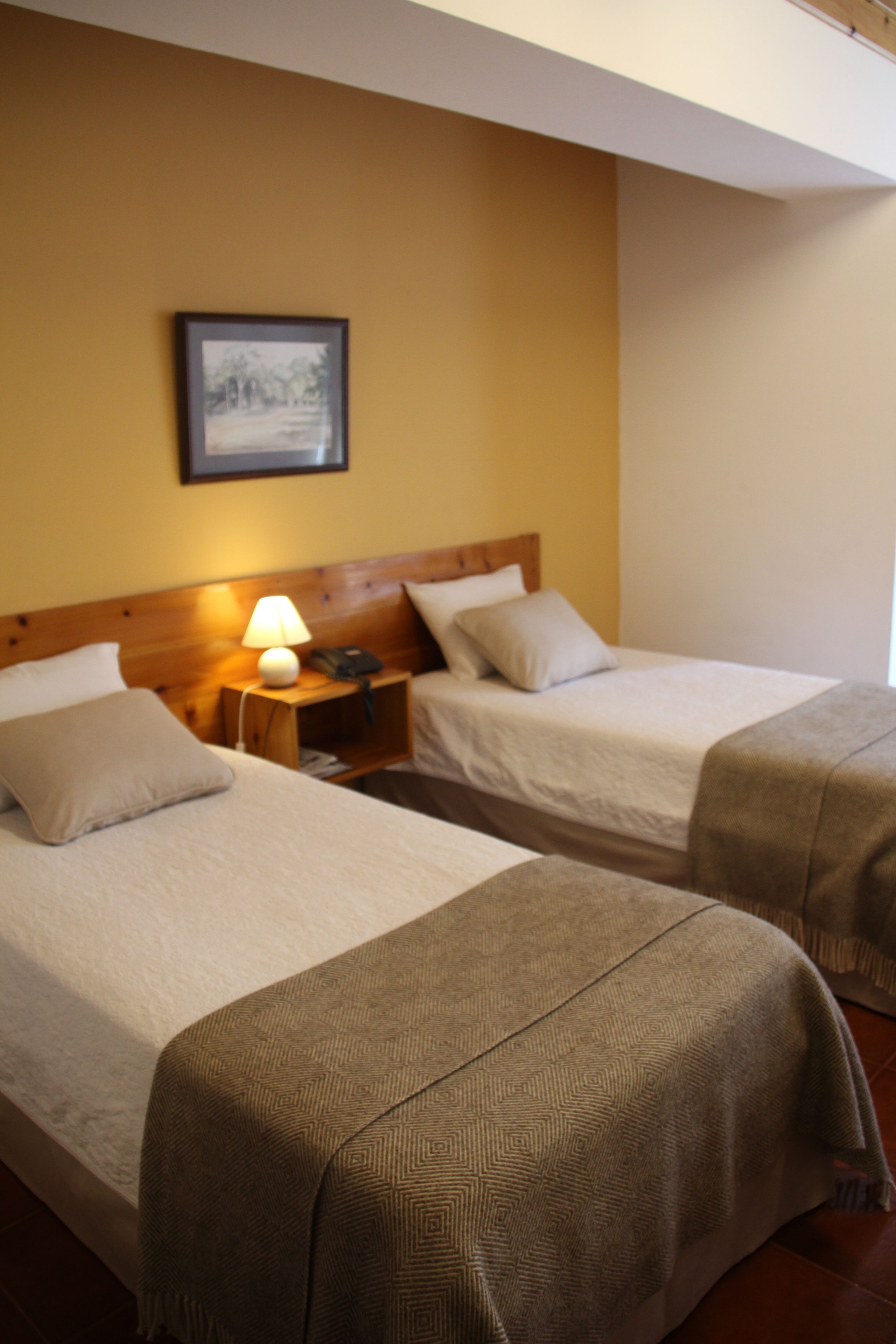 economy twin room | free wifi