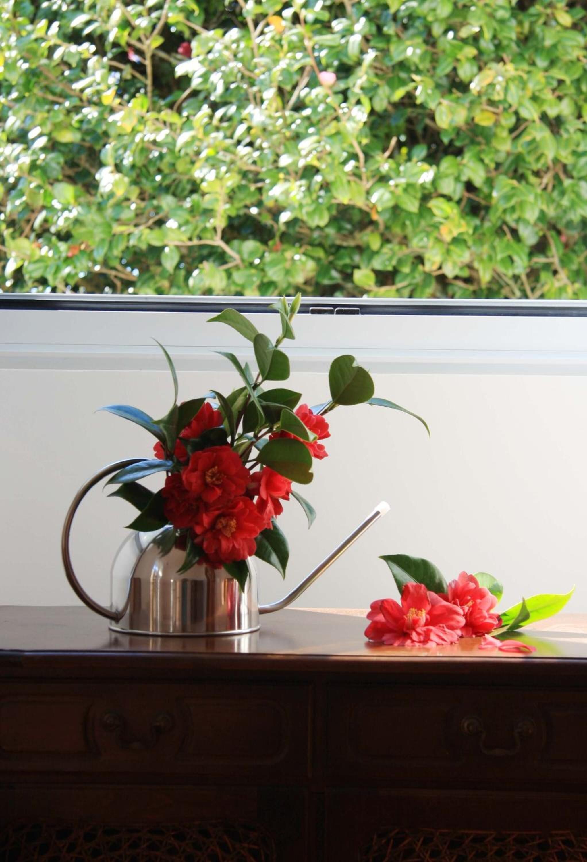Eine Vase mit roten Blumen auf einer Holzoberfläche in der Nähe eines Fensters.