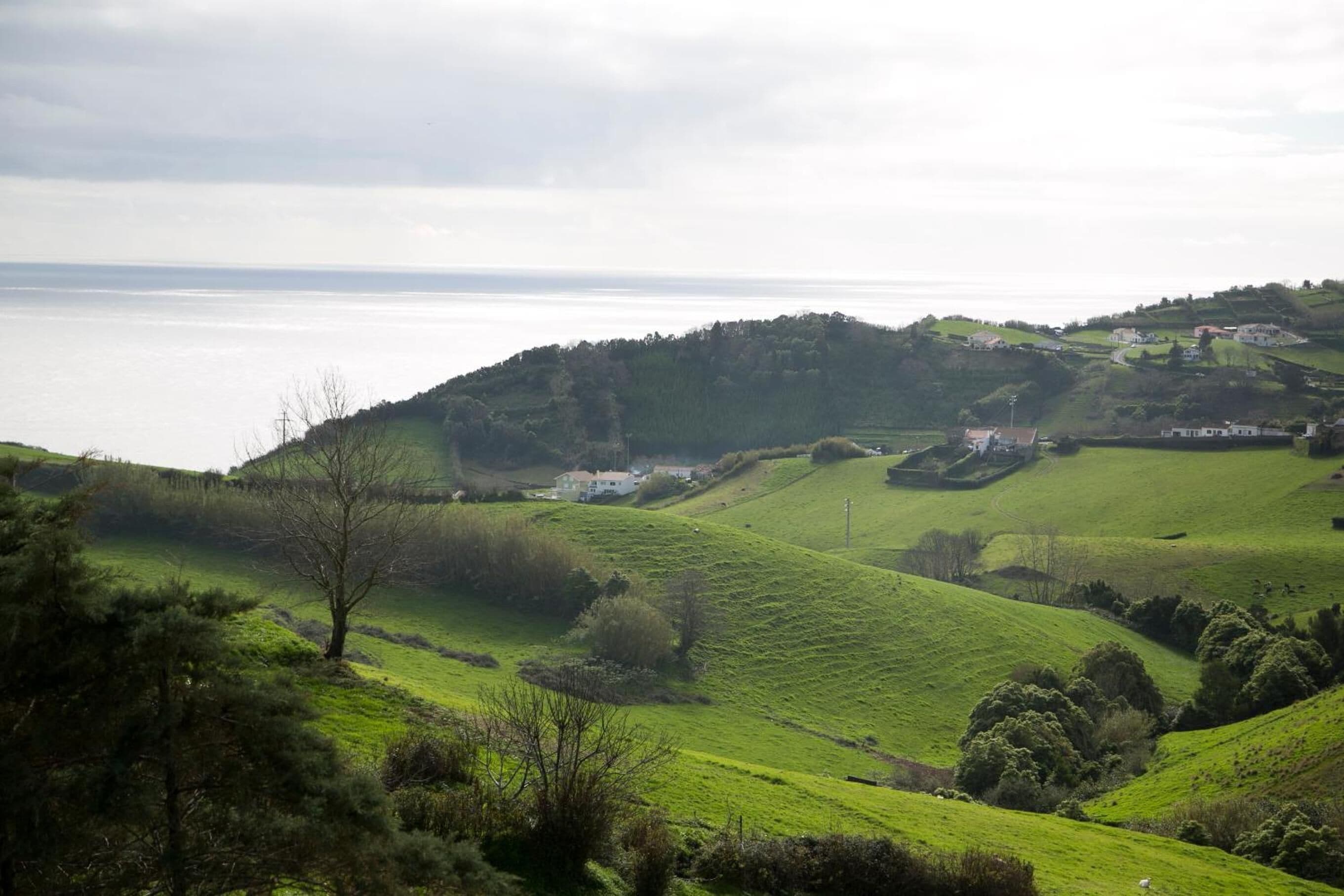 Photo - Quinta Atlantis