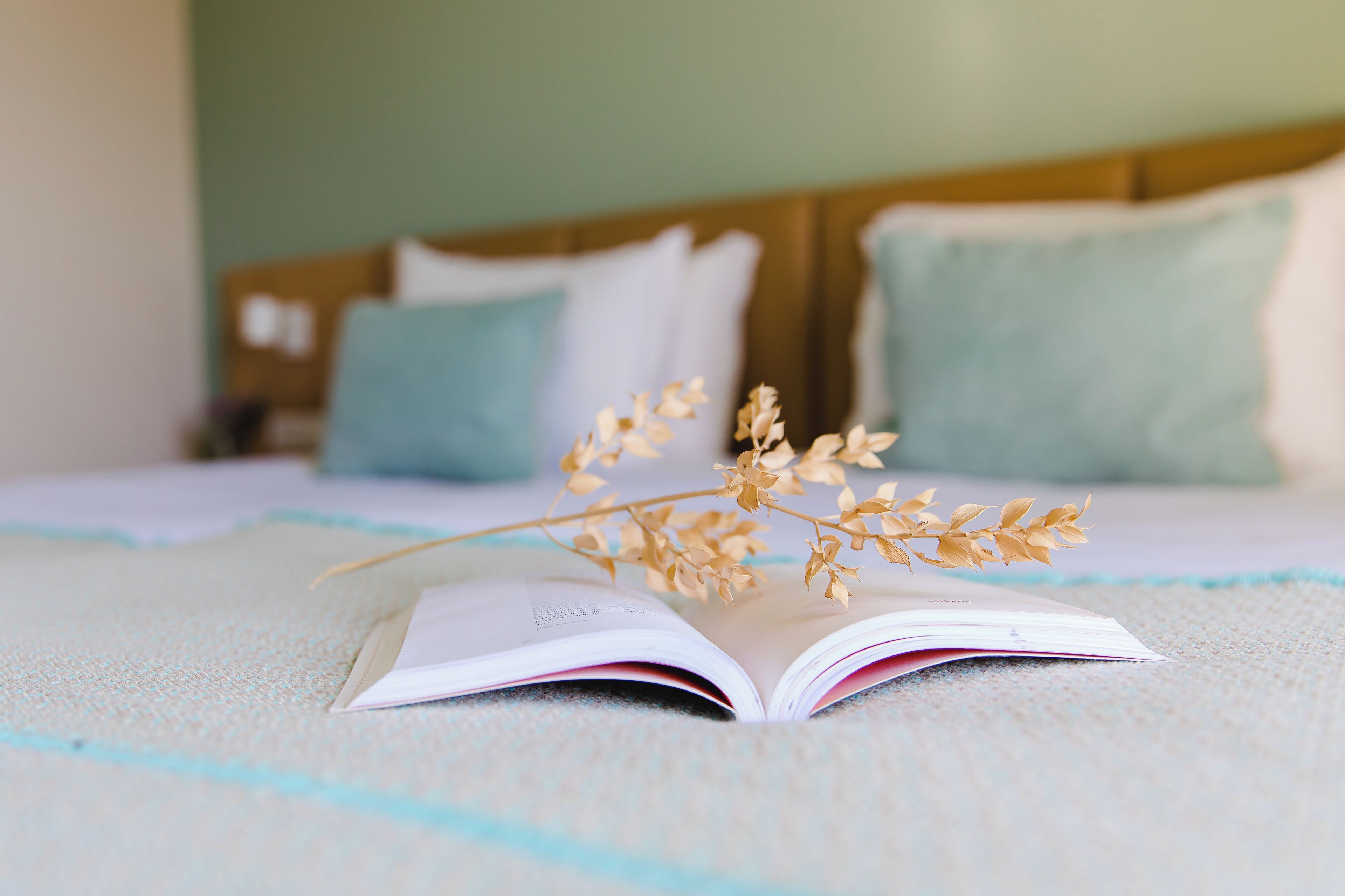 1 bedroom, desk, laptop workspace, soundproofing