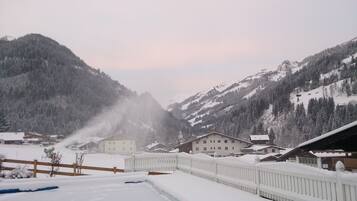 Family Room, 2 Bedrooms, Non Smoking | View from room