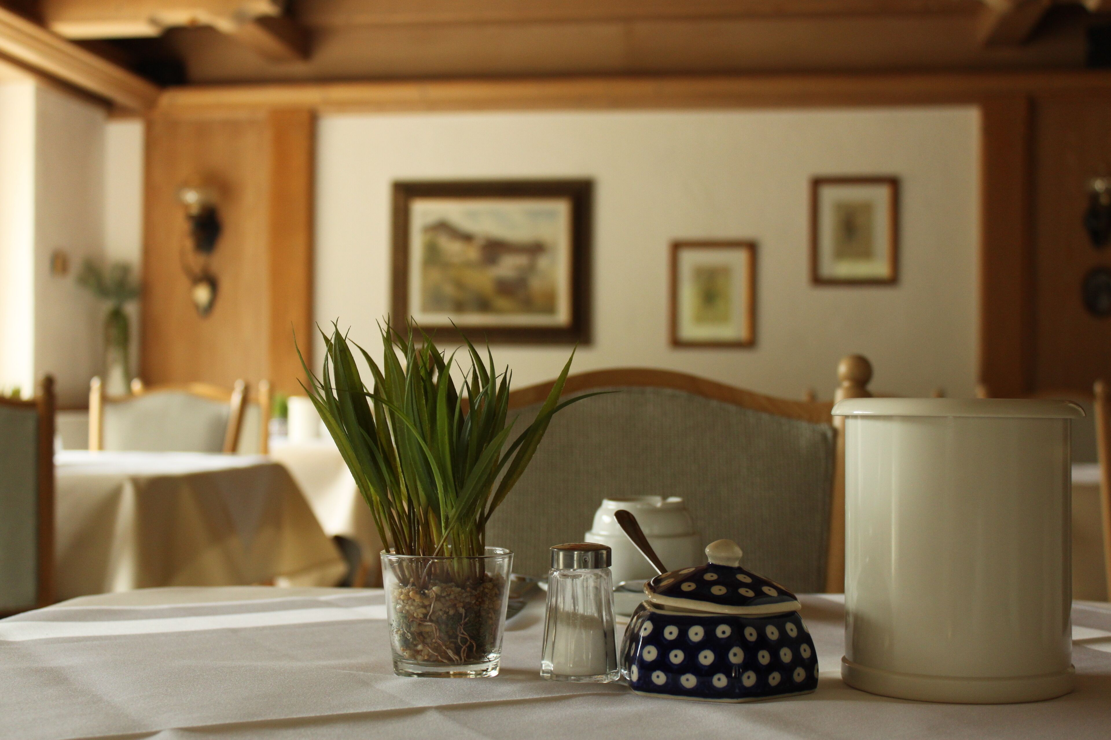 Una mesa de comedor con una planta, saleros y pimenteros, un frasco decorativo y una jarra blanca.