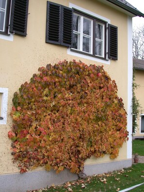 Exterior - Landhaus Kügler-Eppich (Proleb)