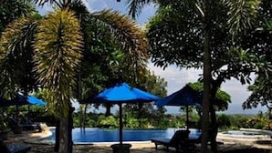 Un área junto a la piscina con sillones de descanso, sombrillas y un camino de piedra.