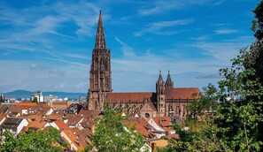 Une cathédrale dotée de deux hautes flèches, entourée d’un paysage urbain composé d’immeubles aux toits rouges et de verdure.