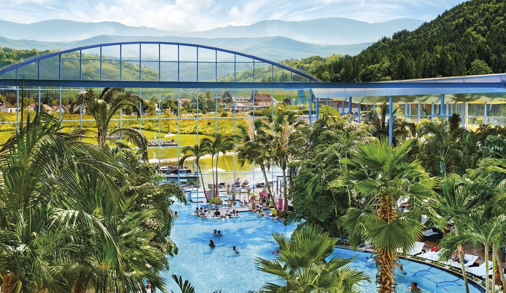 A large outdoor swimming pool surrounded by palm trees and a glass bridge.