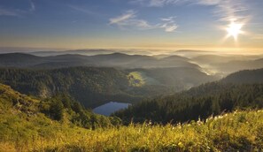 Un paysage montagneux avec un lac et des zones boisées.
