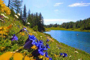 Vista desde la propiedad