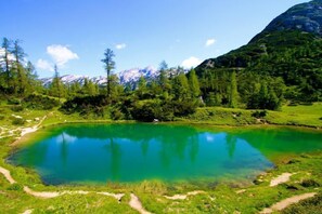 Vista desde la propiedad