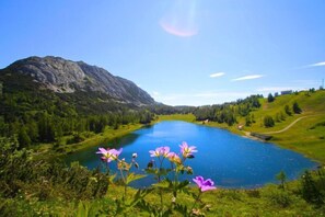 Vista desde la propiedad
