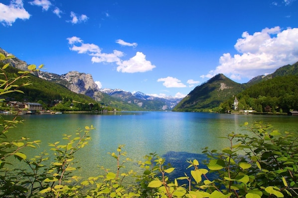 Vista desde la propiedad