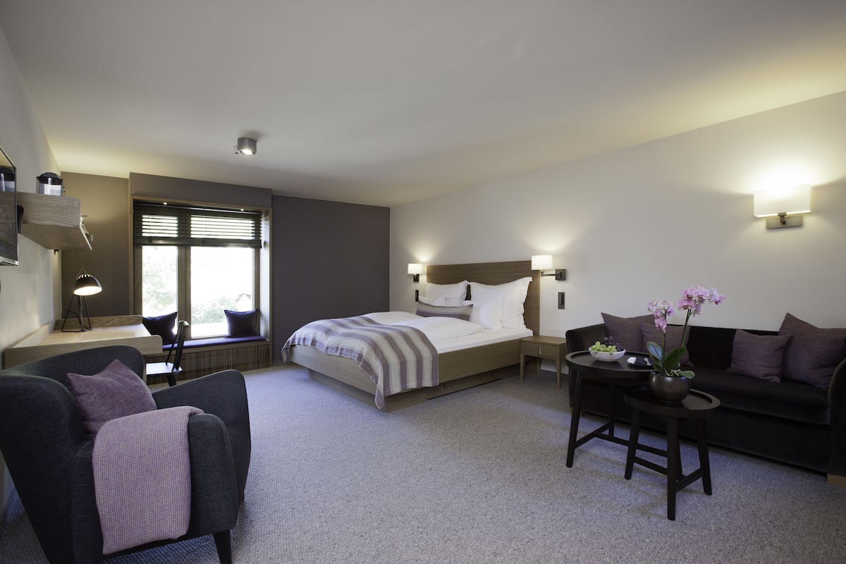 Une chambre d’hôtel comprenant un lit, un canapé, une chaise, une petite table et une fenêtre avec des stores.