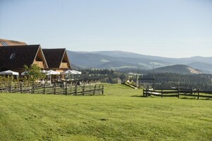 Vistas desde el alojamiento