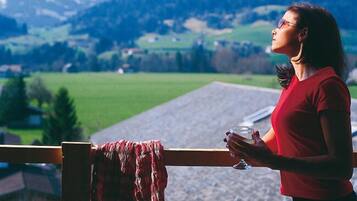 Comfort Double or Twin Room | View from room