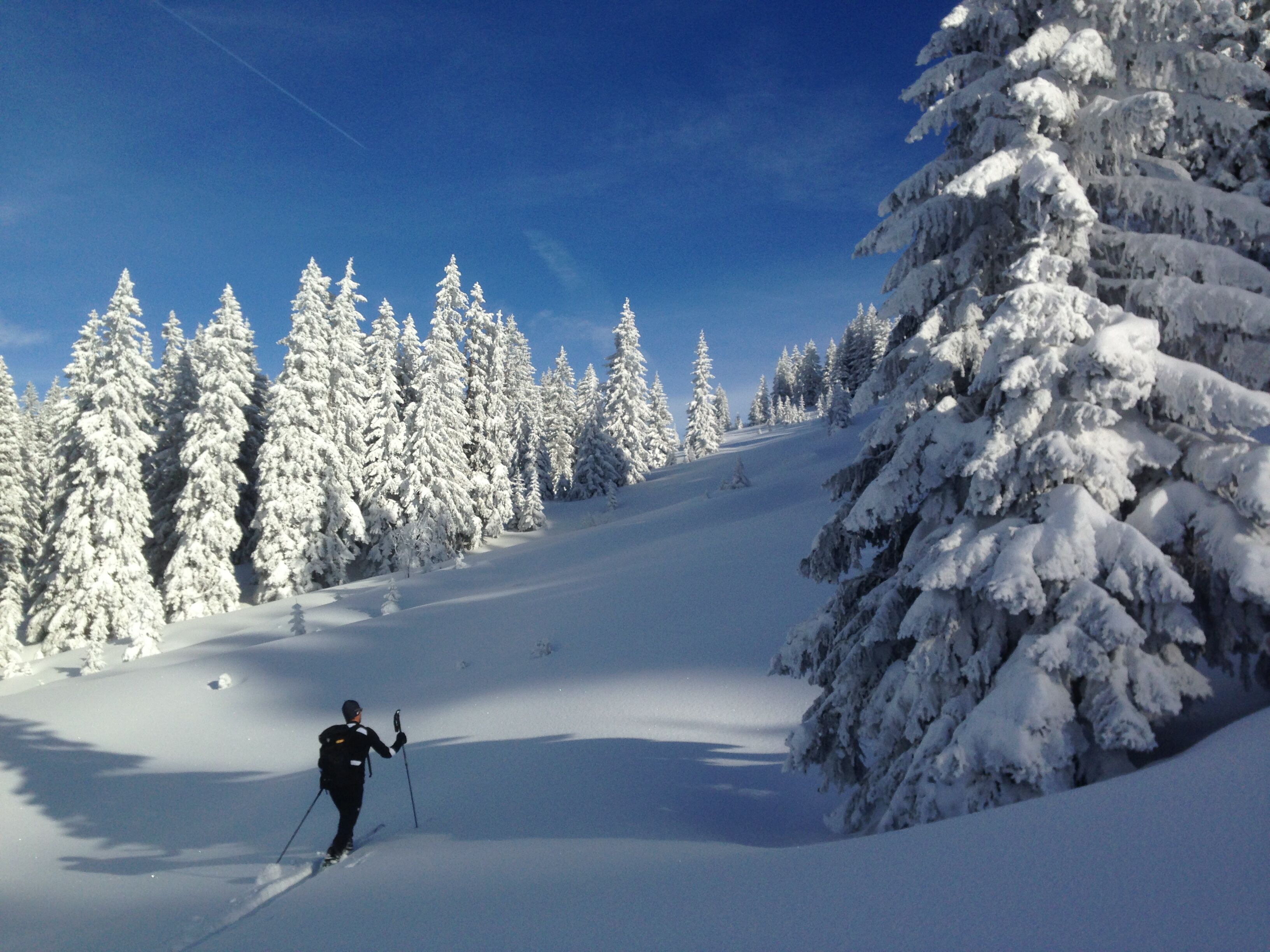 Un paysage enneigé avec un skieur sur une pente.