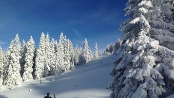 Un paysage enneigé avec un skieur sur une pente.