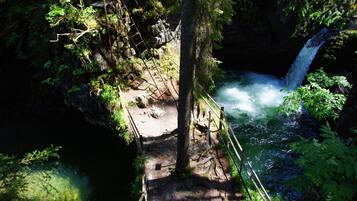 A natural waterfall surrounded by dense forest.