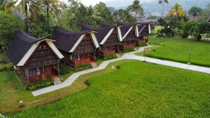 A row of traditional wooden houses with sloped roofs, surrounded by lush green fields and palm trees. - Toraja Misiliana (Rinding Batu)