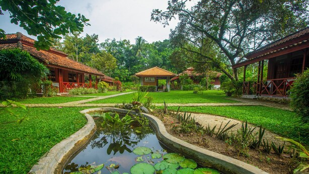 A serene garden with a pond, surrounded by lush greenery and traditional-style buildings. - The Satwa Elephant Ecolodge (Labuhan Ratu)