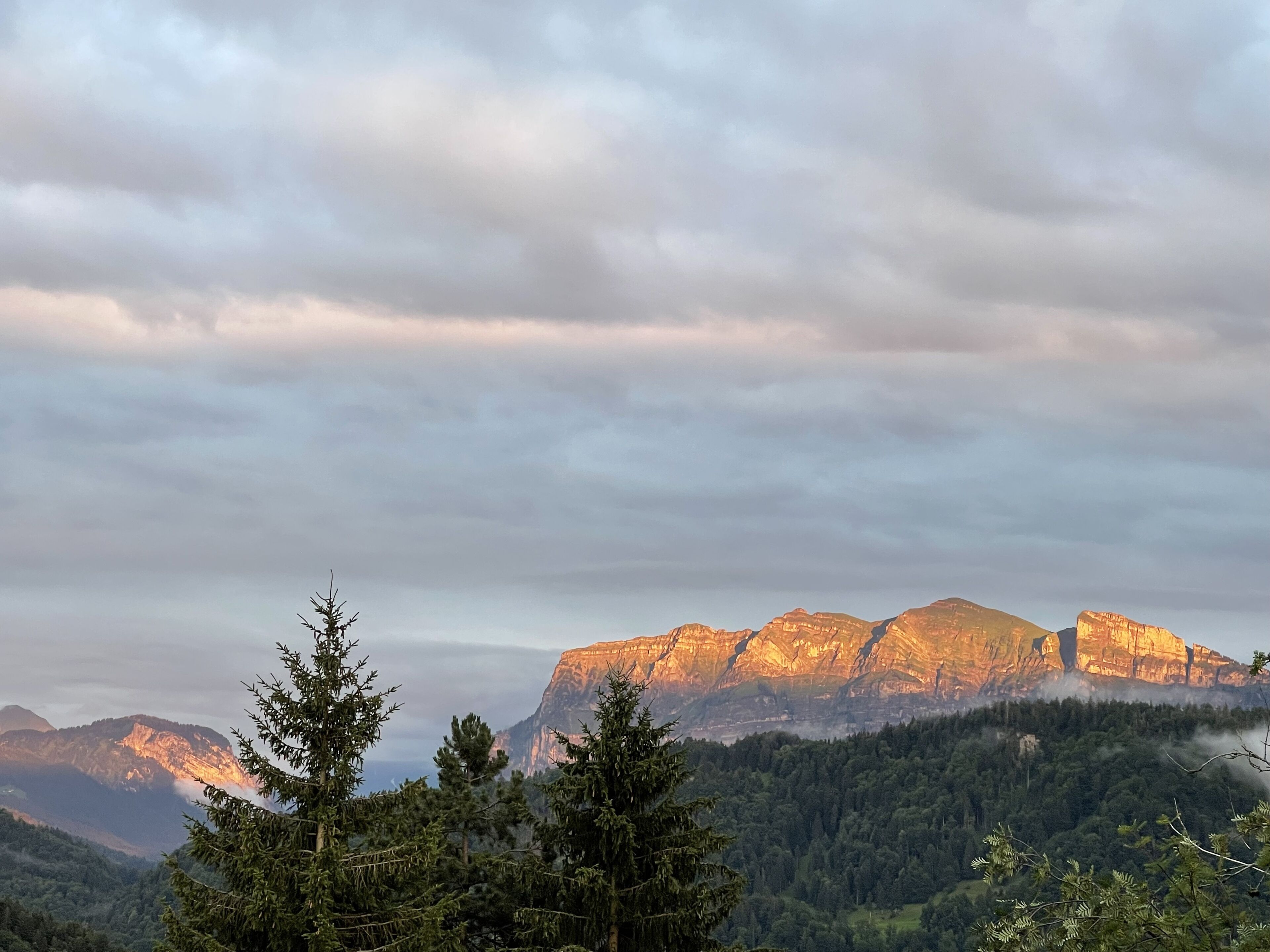 A mountainous landscape with dense forest and a prominent mountain peak in the background.