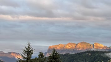 A mountainous landscape with dense forest and a prominent mountain peak in the background.