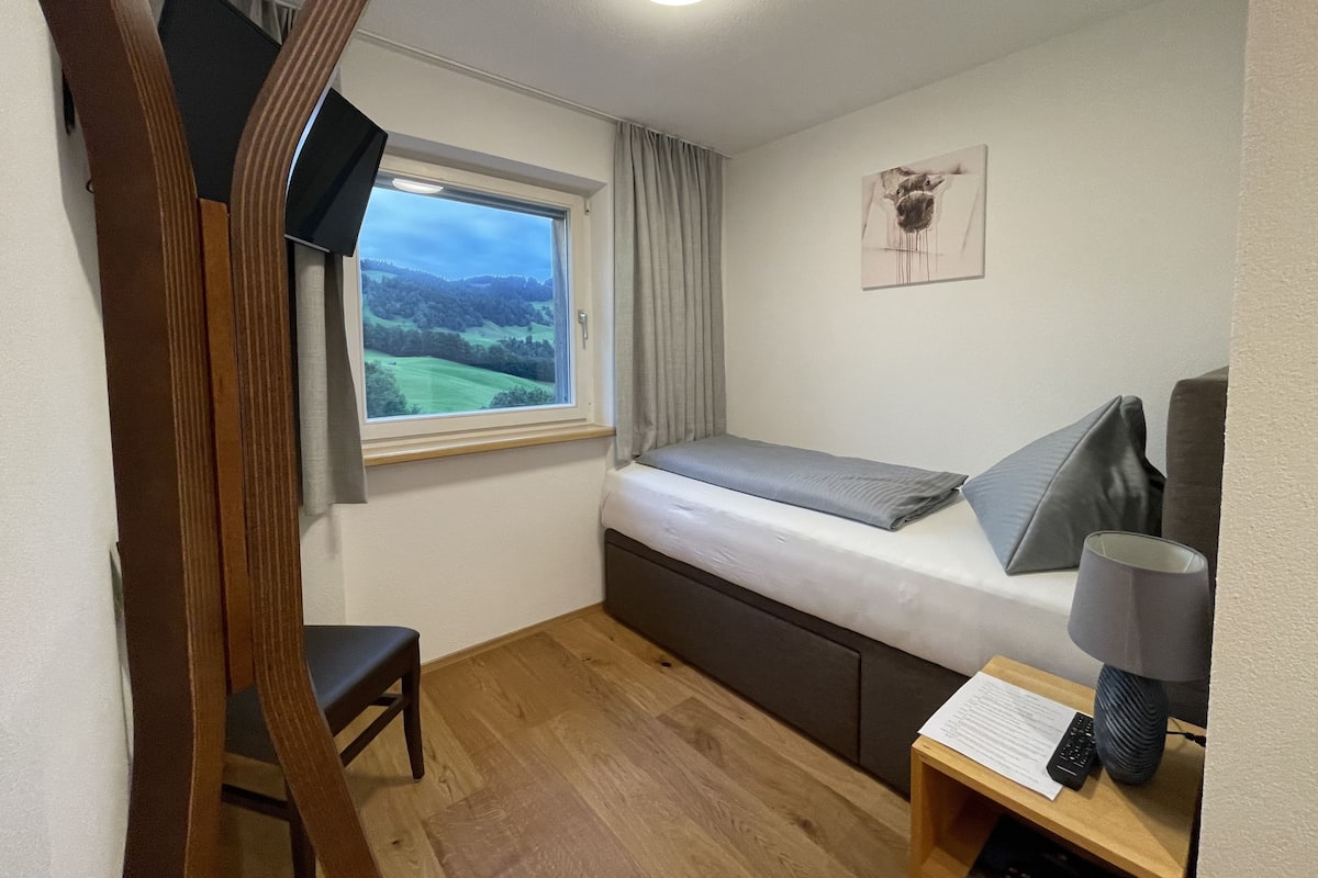 Single Room | 1 bedroom, hypo-allergenic bedding, desk, laptop workspace