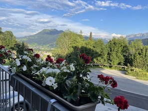 Exterior - Panoramahotel Sonnhalde (Schwarzenberg)