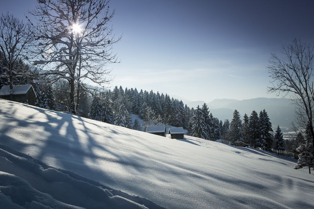 A snow-covered landscape with a clear sky, a wooden cabin, and a forest in the background.