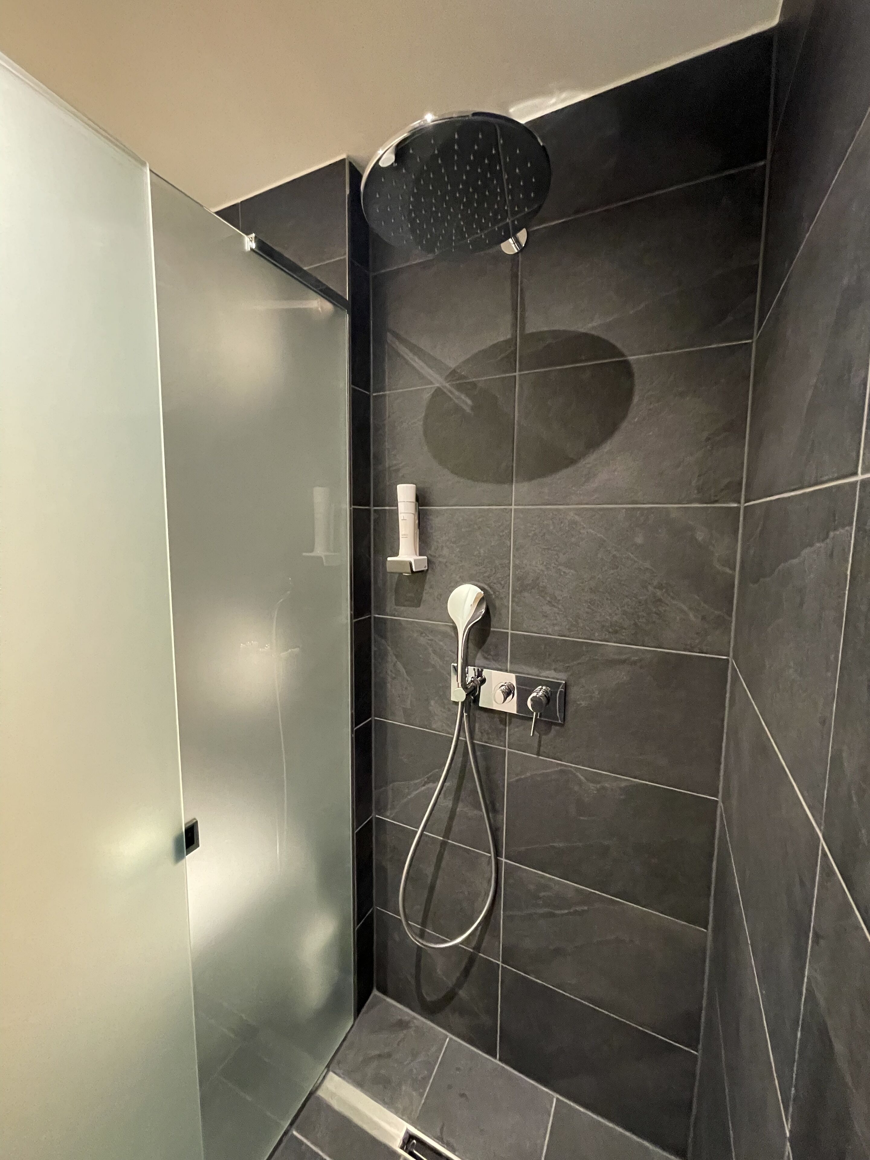 A shower area with a handheld showerhead, a wall-mounted faucet, and a control panel.