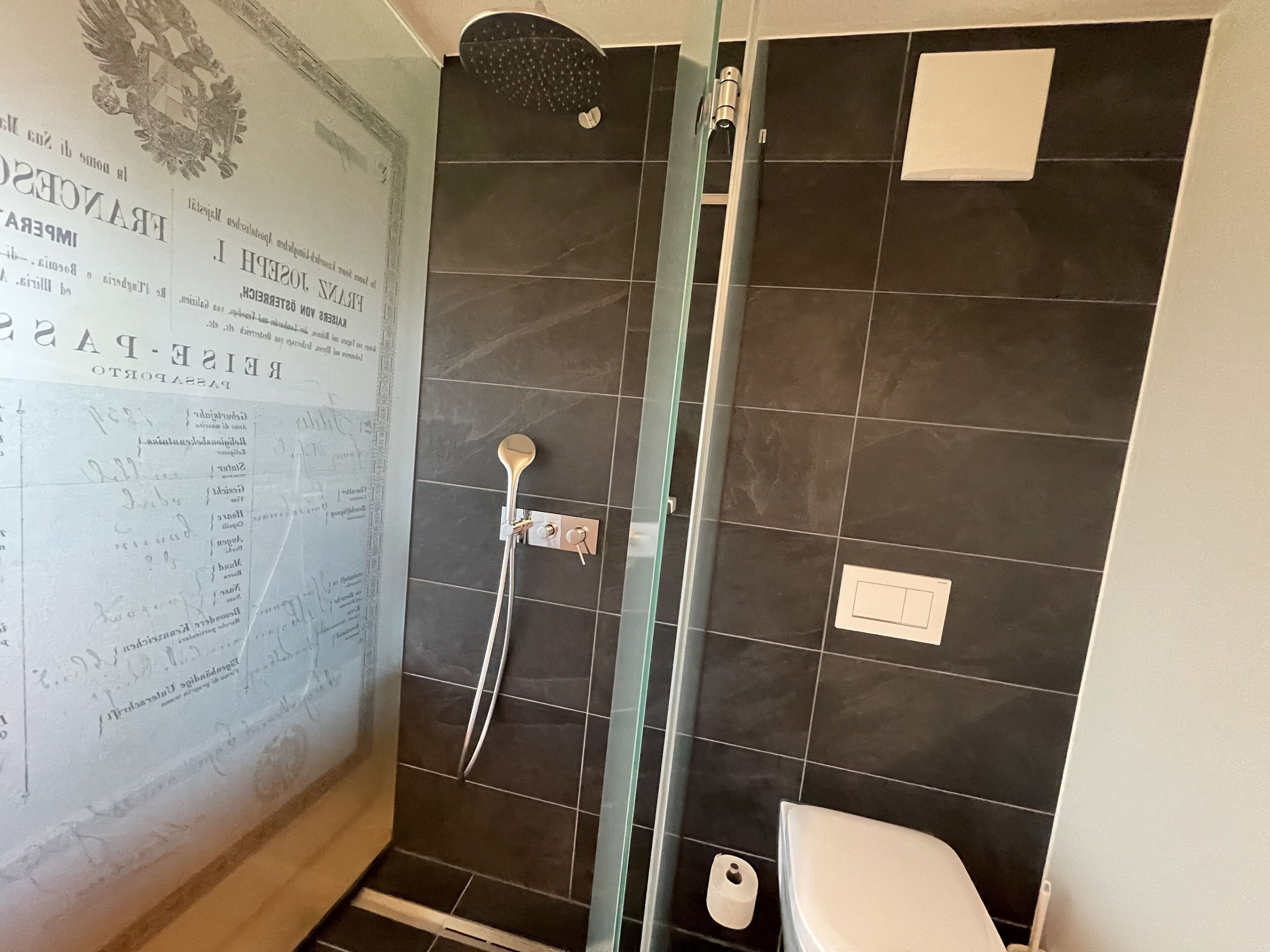Une salle de bain avec une douche à parois de verre, des murs recouverts de carreaux foncés et des toilettes blanches.
